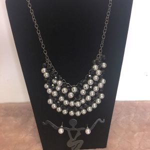 Black & Silver Necklace and Earring Set